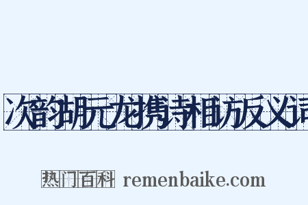 次韵胡元龙携诗相访反义词是什么意思的图片